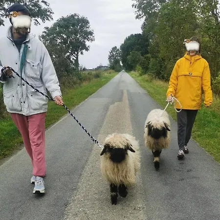 Ferienwohnung-strand-edomsharder-hof-nordstrand نوردستراند
