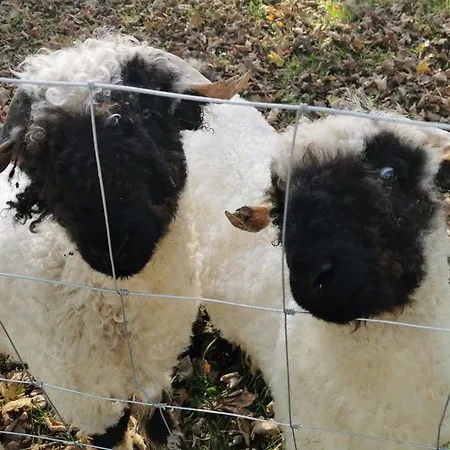 شقة Ferienwohnung-strand-edomsharder-hof-nordstrand نوردستراند